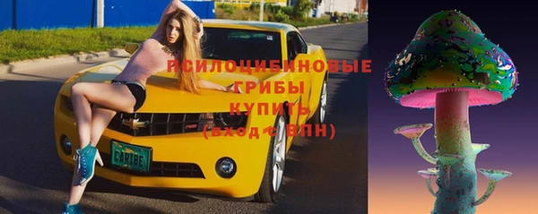 бошки Богданович
