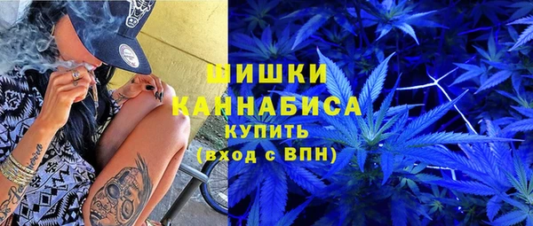 спиды Богородск