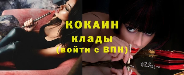бошки Богданович