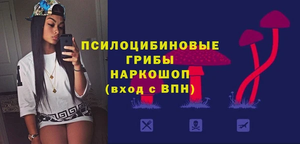 бошки Богданович