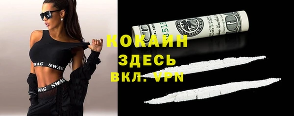 бошки Богданович