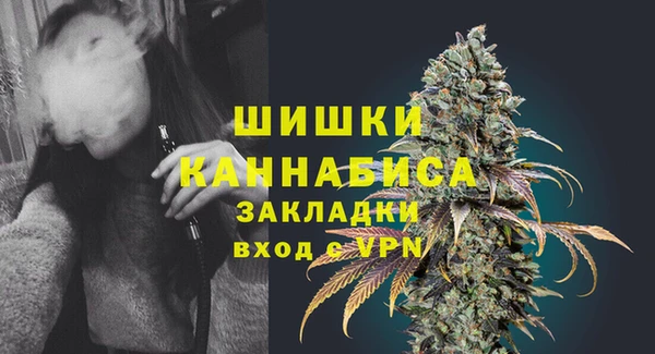 спиды Богородск