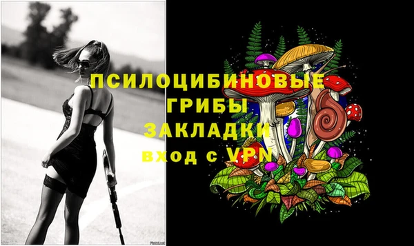 спиды Богородск