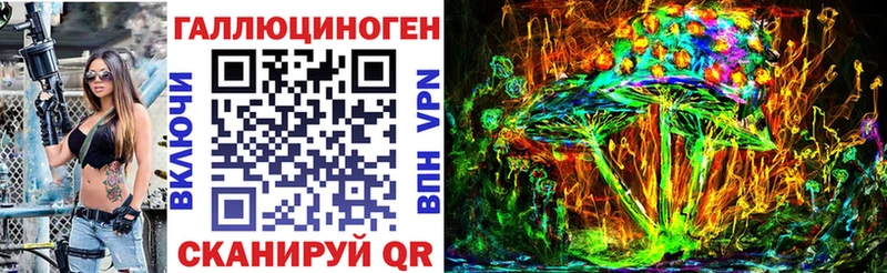 Купить  Дрезна  Псилоцибиновые грибы Psilocybine cubensis 